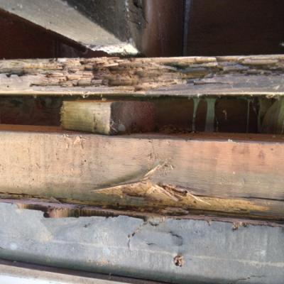 San Anselmo Dry Rot Repair - Dry Rot Window Header