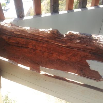 San Rafael Dry Rot Deck Repairs Deck Beam Hollowed Closeup