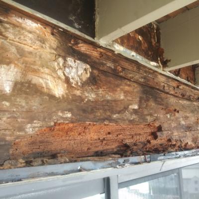 San Rafael Dry Rot Deck Repairs Header Damage