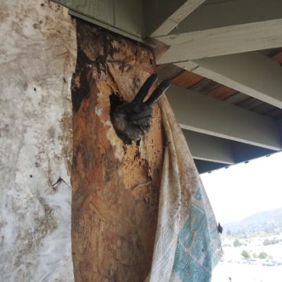 San Rafael Dry Rot Deck Repairs Siding And Sheathing Demo